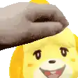 a person is petting a yellow teddy bear 's head with a towel .