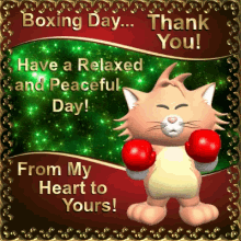 boxing day thank you funny cat relax