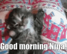 Good Morning Good Morning Nina GIF - Good Morning Good Morning Nina Nina GIFs