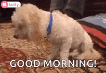 World Sleep Day Sleepy GIF - World Sleep Day Sleepy Tired GIFs
