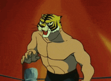 Tiger Mask Anime GIF - Tiger Mask Anime Pro Wrestling GIFs