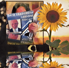 Data Leadership Lessons Podcast Richard Blank GIF - Data Leadership Lessons Podcast Richard Blank Costa Rica'S Call Center GIFs