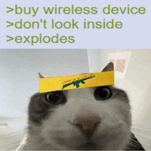 a picture of a cat with a yellow band on its head that says buy wireless device
