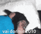 a monkey is sleeping on a blue pillow with the words eis que lux vai dormir 2010 below it