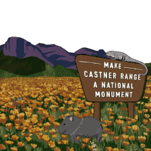 protect more parks tx protectcastner holoske make castner range a national monument