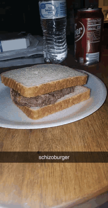 Schizoburger GIF - Schizoburger GIFs