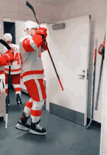 Detroit Red Wings Nhl GIF