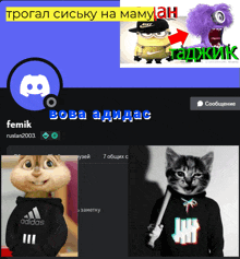 a screenshot of a person 's discord account with a chipmunk and a cat