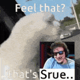 a picture of a polar bear next to a picture of a man wearing headphones