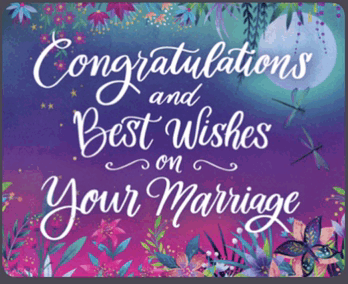 Wedding Congratulations GIFs Tenor