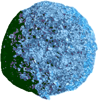 a blue circle with a black border and a white border