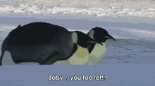 Fat Penguin GIF - Penguin Dayofpenguin GIFs