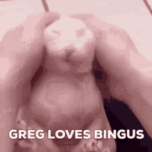 Greg Loves Bingus GIF - Greg Loves Bingus GIFs
