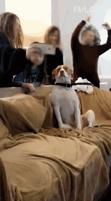 What Confused GIF - What Confused Surprised GIFs