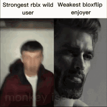Rblxwild Bloxflip GIF - Rblxwild Bloxflip Strongest GIFs