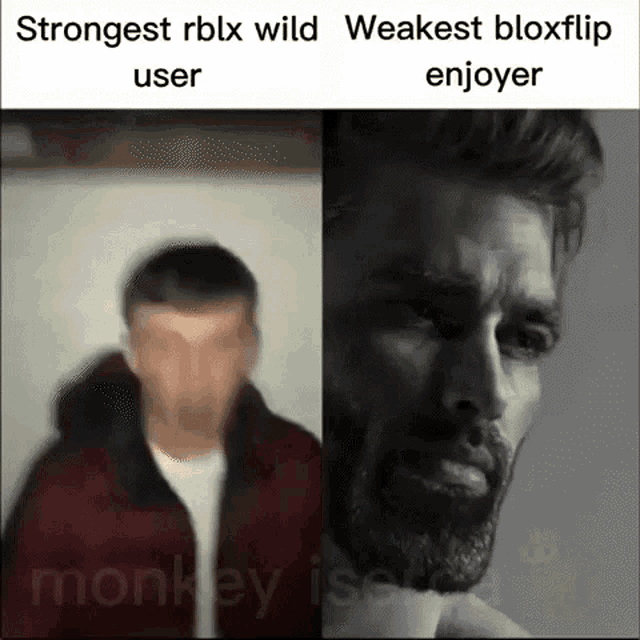 RBLXWild VS Bloxflip  Which Is Better? 