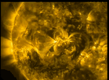 a close up of a yellow and black colored object