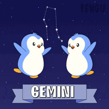 two penguins are standing next to each other in front of a constellation called gemini