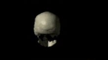 Skull Spin GIF - Skull Spin GIFs