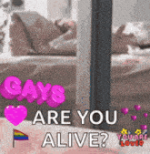 a picture of a person laying on a bed with the caption gays are you alive