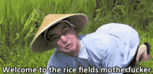 Rice GIF - Rice GIFs
