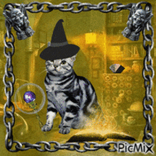Magical Animals Witch GIF - Magical Animals Witch Cat GIFs