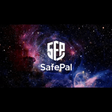 Safepal Safepal Swag GIF - Safepal Safepal Swag Safepal Wallet GIFs