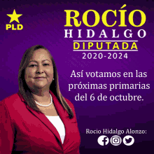 Rocio Hidalgo Votar GIF - Rocio Hidalgo Votar GIFs