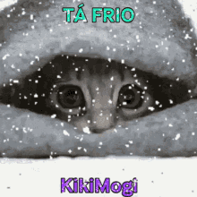 Kikimogi Frio GIF - Kikimogi Kiki Frio - Discover & Share GIFs