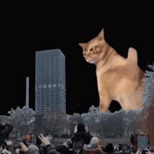 Catzilla Smack Cat GIF - Catzilla Smack Cat Crypto GIFs