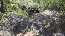 Fell Cliff GIF - Fell Cliff Accident GIFs