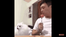 Eating Dog GIF