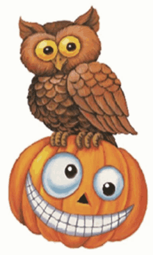 Owl Pumpkin GIF - Owl Pumpkin Smile GIFs