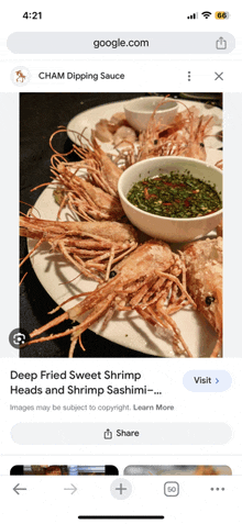 Shrimpy GIF - Shrimpy GIFs