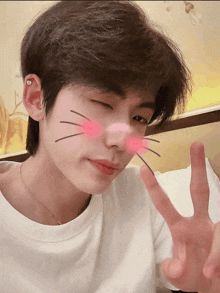 a young man with a cat face drawn on his face