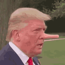 Liar Trump GIF - Liar Trump Funny GIFs