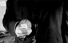 Welles Kane GIF - Welles Kane Snowball GIFs