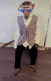 a monkey wearing sunglasses and a vest is standing on a wood floor