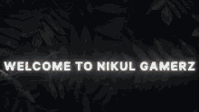 Welcome To Nikul Gamerz GIF - Welcome To Nikul Gamerz GIFs