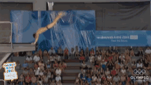 Diving Somersault GIF - Diving Somersault Perfect Dive GIFs