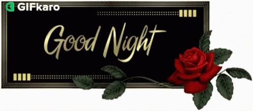 Good Night Gifkaro GIF - Good Night Gifkaro Rose - Discover & Share GIFs Good Night Gifkaro GIF - Good Night Gifkaro Rose - Discover & Share GIFs