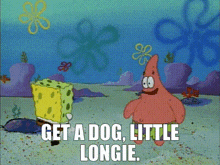 Spongebob Get A Dog GIF - Spongebob Get A Dog Patrick GIFs