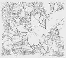 a black and white drawing of a flower with leaves on a white background