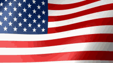 Usa Us Flag GIF - Usa Us Flag GIFs