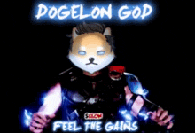 Thor Doge GIF