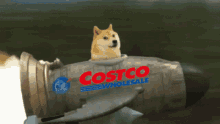 Costco Wholesale GIF - Costco Wholesale Rocket GIFs