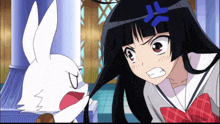 a girl with a blue j on her head looks at a rabbit