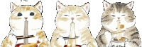 three cats are eating noodles with chopsticks in a row