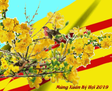 Xuan2019 Flag GIF - Xuan2019 Flag Viet Nam Flag GIFs