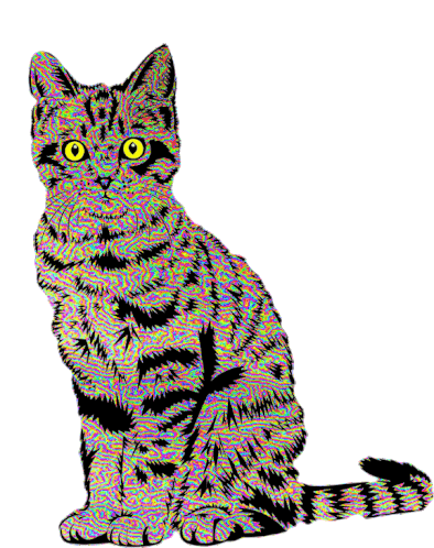 Cat Shocked Sticker - Cat Shocked Stare Stickers